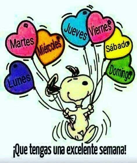 TitaFuenmayor's tweet photo. @ptopelo @LeidaMarin2 @lcsuzzarini @Canaria_news1 @oelpin69 @cristobalvega @ELZORROBOLIVAR @bernardo_98364 Buenos días hermosura 😘 #QueBella🌻🔆🙏 https://t.co/iEUj9abVRG