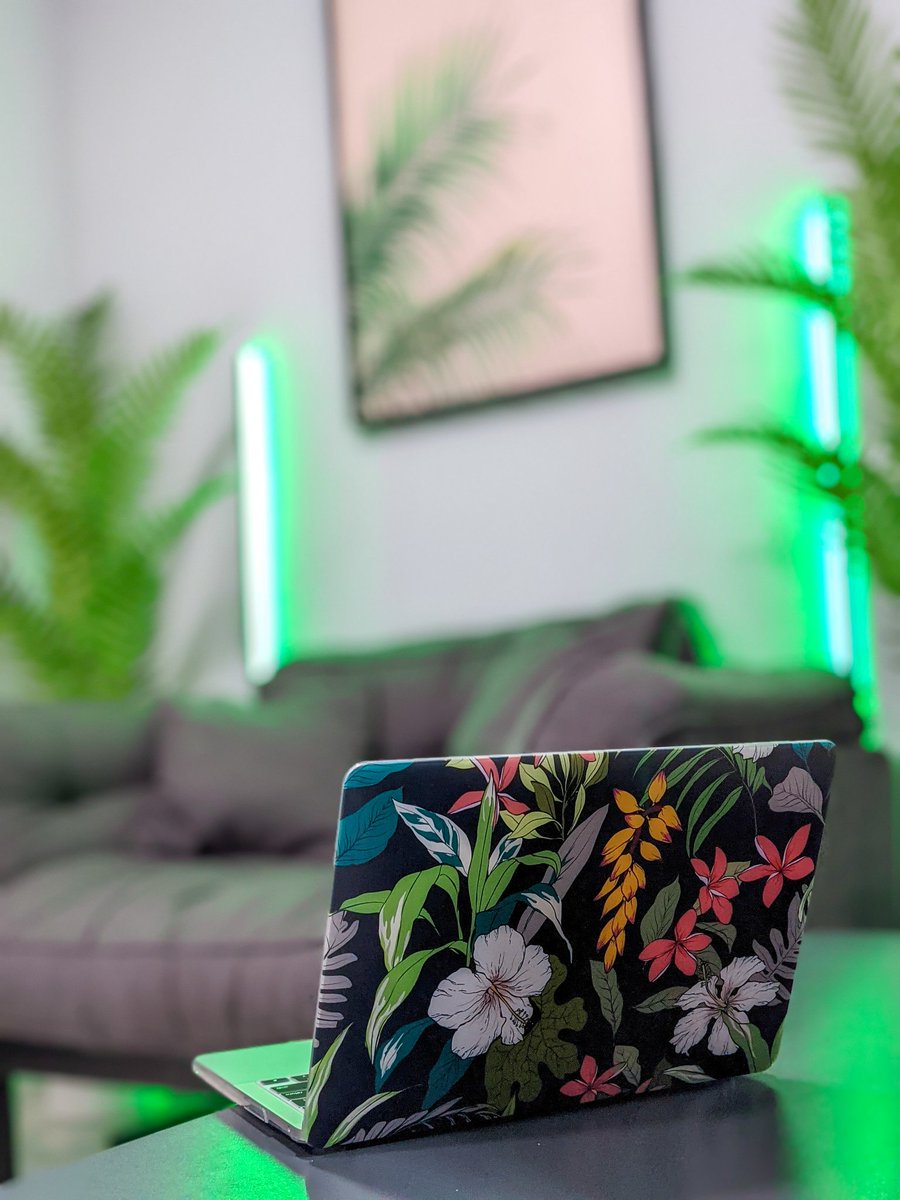 johndanvic's tweet photo. I am loving my new laptop case from @candy_shield! 🥰 Perfect for my bedroom's botanical aesthetics 😂 https://t.co/zyPVsmKjX8