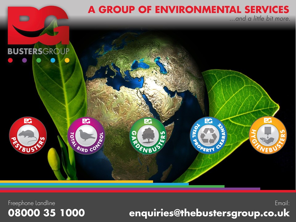 Innovative environmental solutions to support your business

The Busters Group is a comprehensive environmental services management organisation

Contact us today 08000 35 1000

#environmentalservices #pestcontrol #birdcontrol #WestMidlands