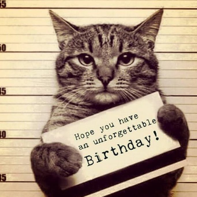 caramllt's tweet photo. Hbd y. https://t.co/eVSd5OhOoq