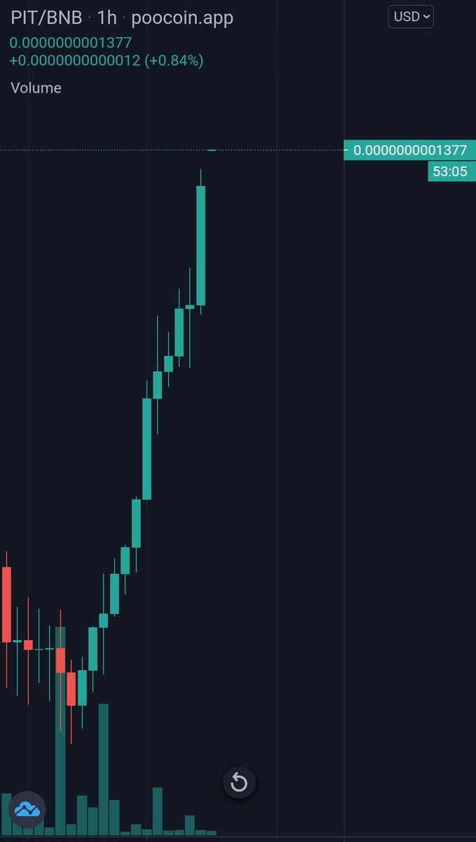 Pitbullbsc On Twitter Those 12 Green Candles 1h Chart That Last Jump With Btc Sitting On 50k This Pure Rise Is Pioneer Of Pitbullish News For Pit Community Soon From Marketing To
