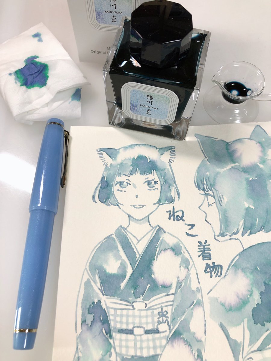これは念願だったLichtopeさんの「鴨川」というインクなのですが、めっちゃいいくすみブルー! 隠れた色も滲み出てきて最高です。
そしてこれも念願だったZOOMペン先の万年筆。TAG Stationeryさんのペン先に小鳥が刻印されてるかわいいやつです! この丸いペン先から出るぽってりした線がいい… 