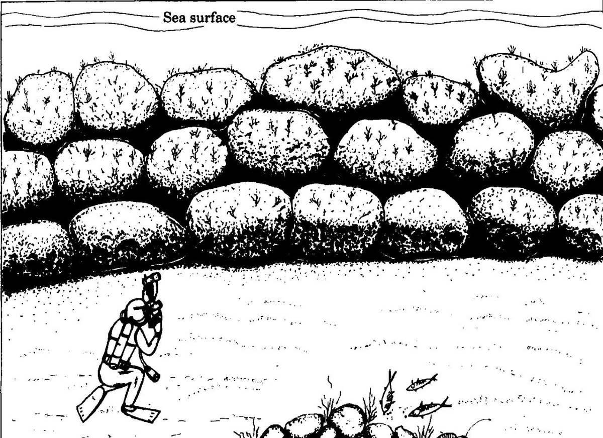 Mumbaikhabar9's tweet image. Ocean retaining wall at historic sea fortress Vijaydurg in Sindhudurg district is architectural marvel | @ssvirendra of #hinduvidhigyaparishad has demanded this fact be included in our textbooks. Chh. Shivaji maharaj had captured this fort in 1654 &amp;amp; named it Vijaydurg,  he said.