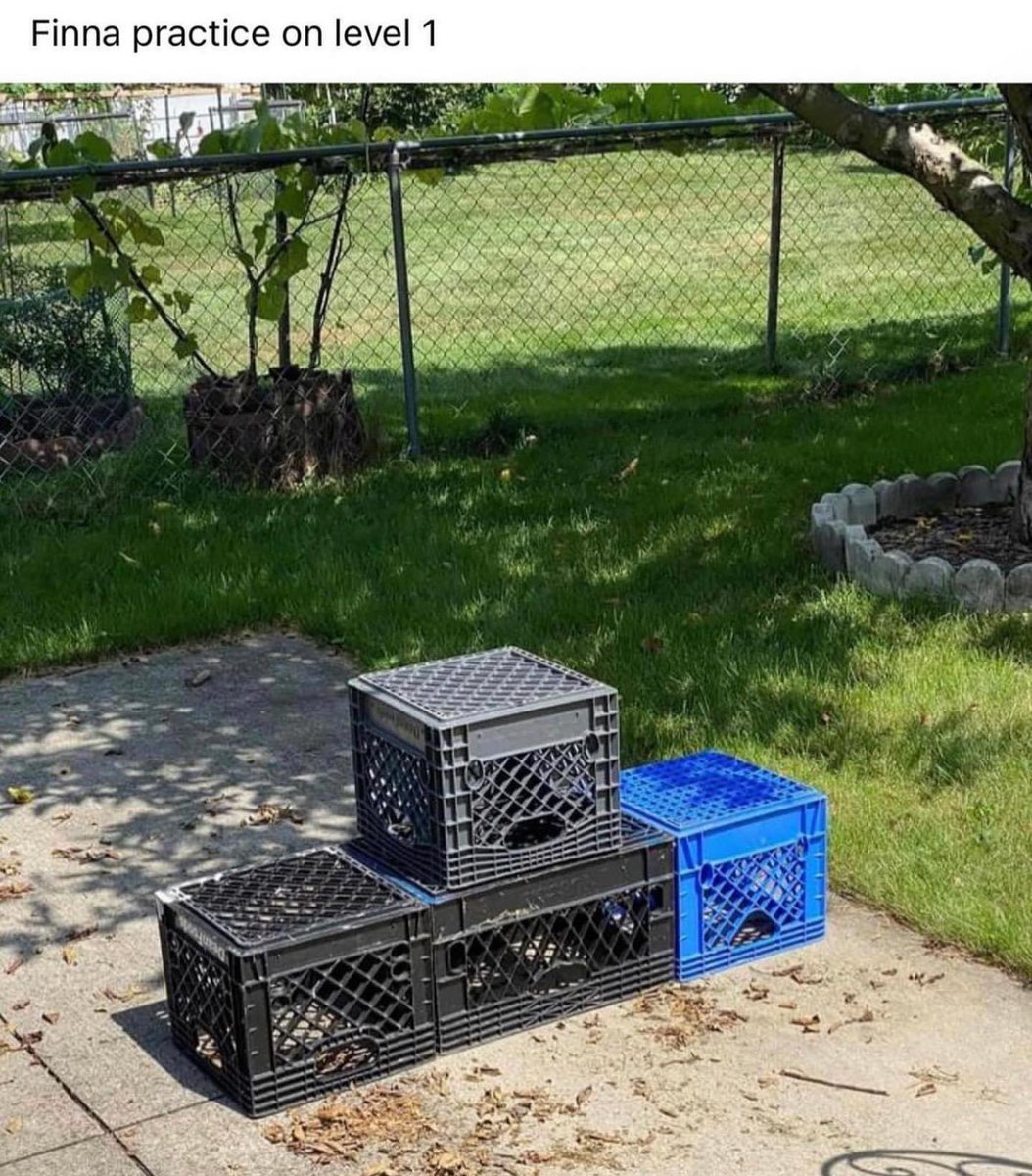 yeah i’m a start with this because i don’t know what i get for doing this shit 😆#bransoncognac #lecheminduroi