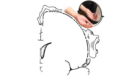 Some thoughts on phantom limb pain, mirror boxes and the brain. Inviting you to think more critically about some of the most popular approaches to understanding and treating phantom limb pain. 
Phantom limb pain: thinking outside the (mirror) box. doi.org/10.1093/brain/…