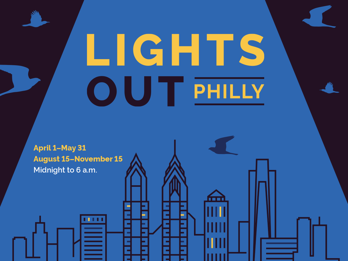 Fall migration is here! As Philly welcomes millions of birds flying south for the winter, Lights Out Philly asks everyone to turn off or block non-essential lights from midnight to 6 a.m. now until Nov. 15 to help birds navigate our city safely.