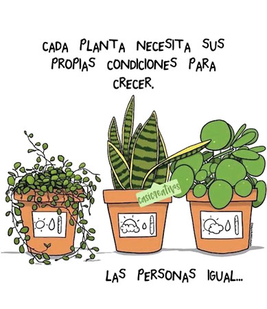 josealanizop's tweet photo. Nota de #salumental: En la #vida, a diferencia de la #cocina (#gastronomía), no existen #recetas únicas para que todos los seres humanos aprendamos a #vivir plena, #consiente, #sana y felizmente, cada quién construye su #camino, así que no te frustres. https://t.co/6Q3aSffePo