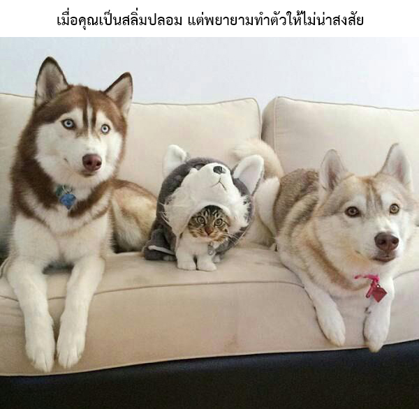 อย่าให้ต้องถึงมือพรี่...สารภาพออกมาซะดี ๆ