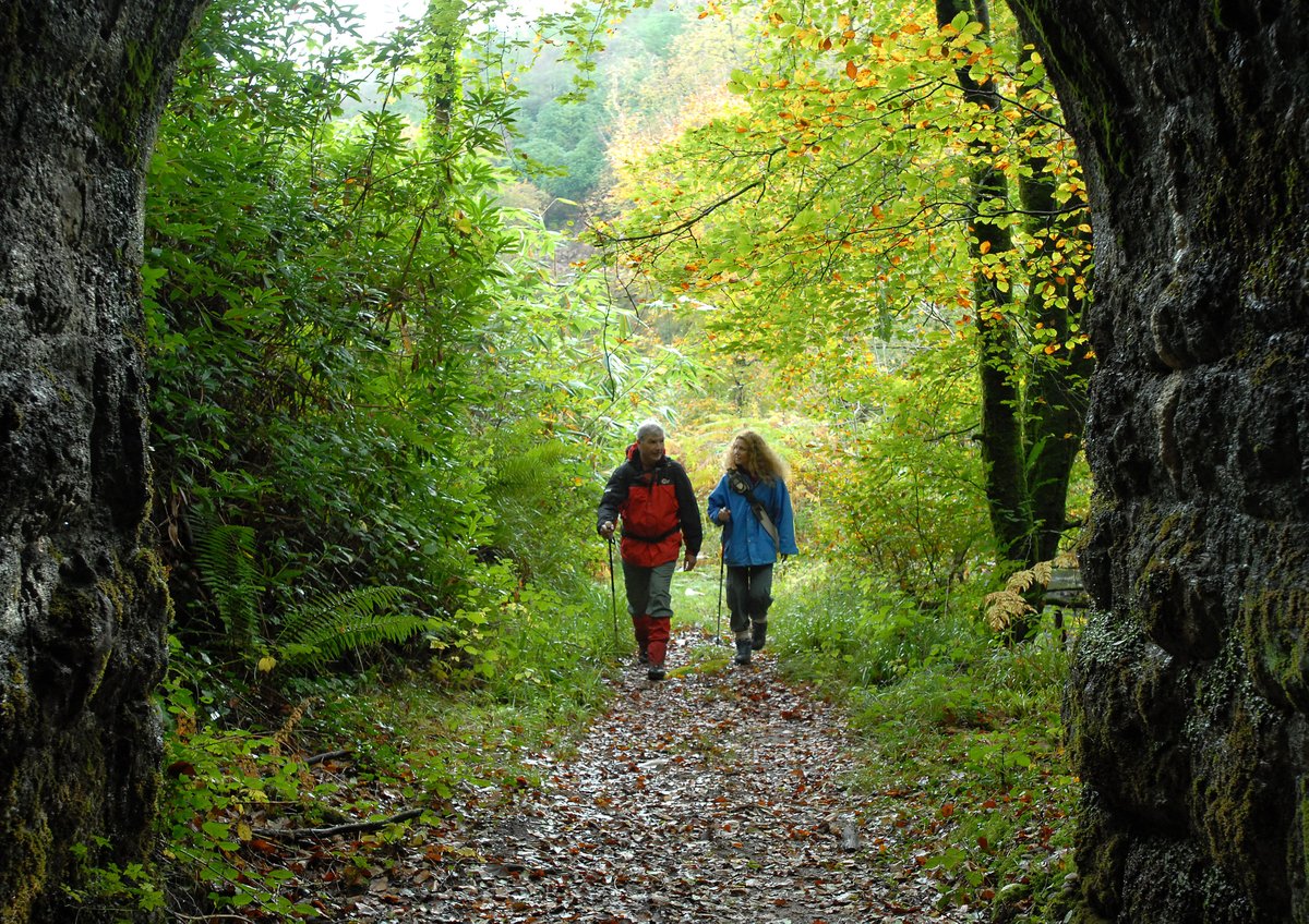 Plan your next hiking adventure in Ballyhoura Country. Tie up those laces 🥾 and come explore a walkers paradise offering a wide variety of hiking experiences.
Learn more visitballyhoura.com #KeepDiscovering #hikingadventures #hikingireland #discoverireland #hiddengems