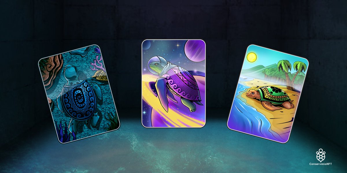 ConservatioNFT's tweet image. Who will complete the collection of Level 1 Sea Turtles? 🎉

Might be worth holding all three Designs 🤫

#DeepOcean #SandyBeach #SpaceTurtle #gonnahatchemall