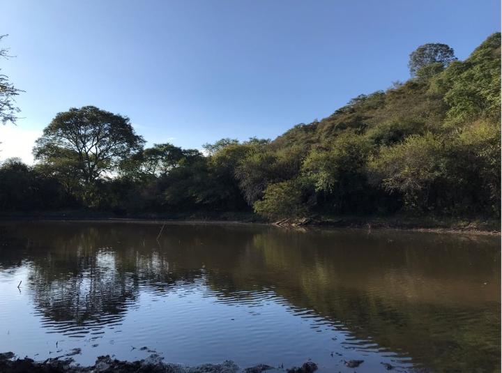 SaltaEnBici's tweet photo. ⚠️ Resguardemos entre todos el Parque Natural de la Ciudad 🌳 https://t.co/8CuIbpTmyB