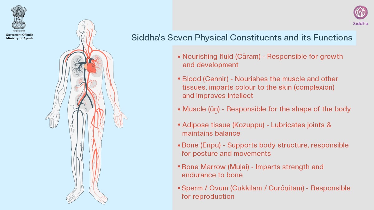 moayush's tweet photo. In the Siddha medicine system, all substances are composed of five primordial elements. Three vital life factors &amp; seven constituents are also formed by their combination. https://t.co/YTJKgVzsFh