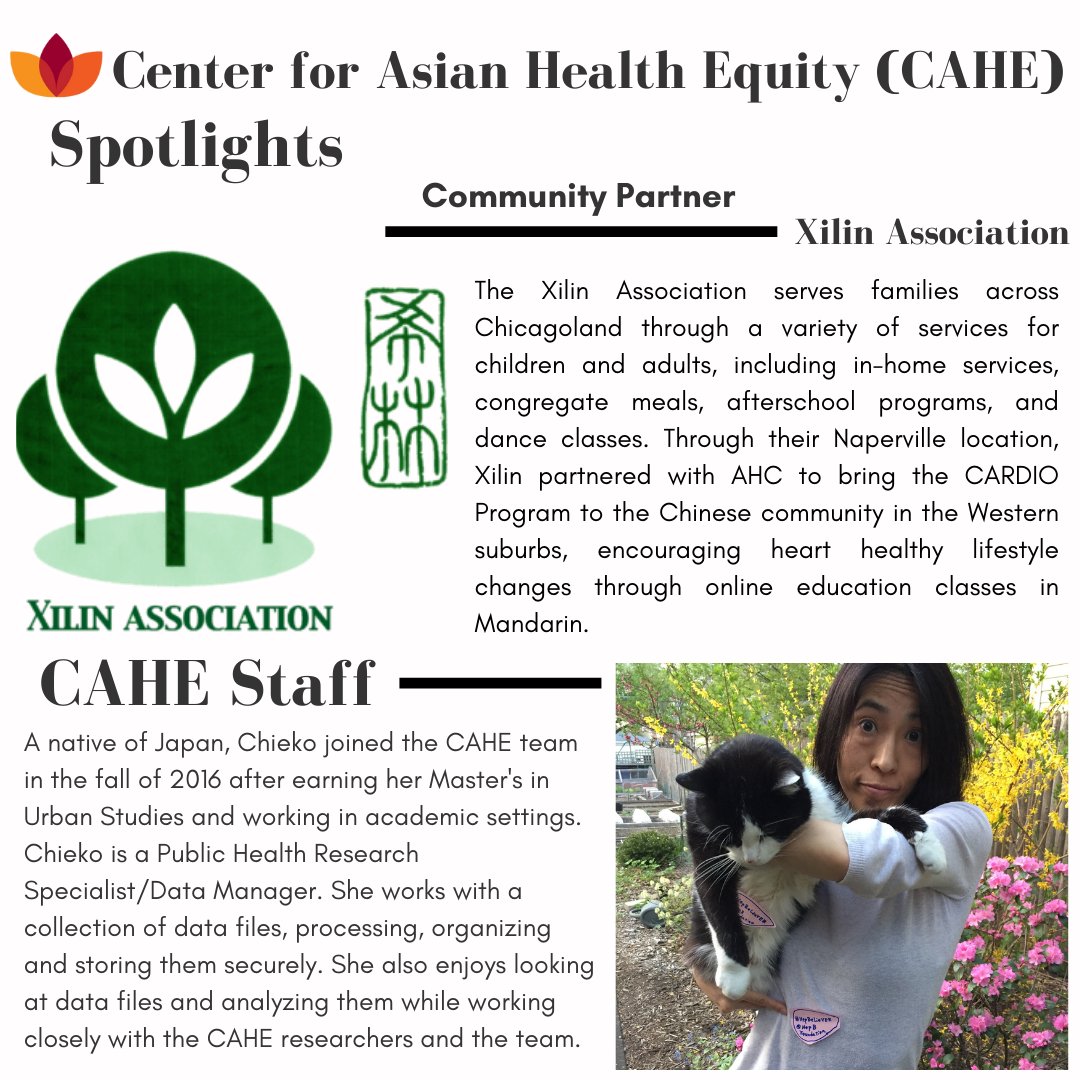 CAHE_AHC's tweet photo. Did you know Asian Americans represent more than 20 Asian groups? To promote diversity, equity, &amp; inclusion, we are producing the Asian Profile Series. Check out our August issue highlighting the Japanese community: https://t.co/0Y1jCyk7Iy 
#AsianHealthEquity #AsianProfileSeries https://t.co/fVdeAsCy6k