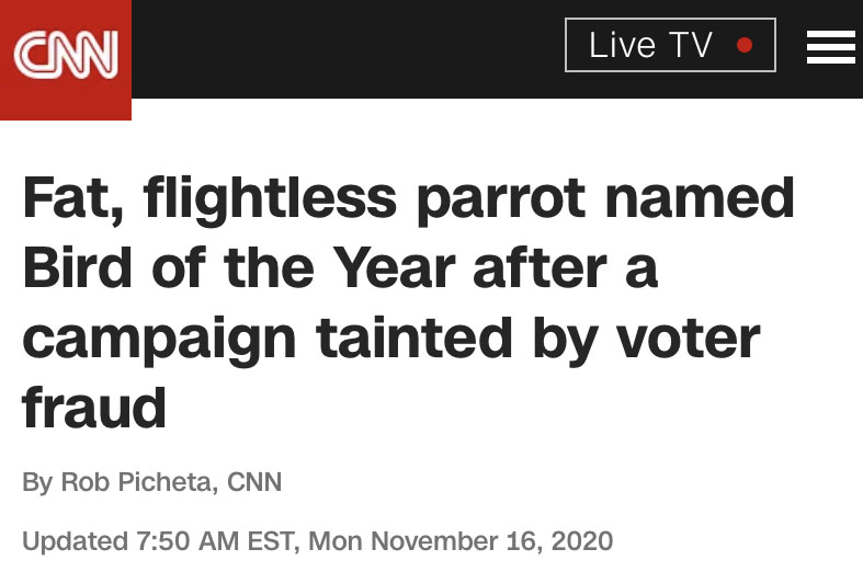 A while ago, I learned that I would receive the 2022 Cogan Award from @ARVO. I am very grateful for this honor and proud of the lab members whose work it recognizes. Shortly after I was notified, I came across this headline. I just thought I’d mention it.