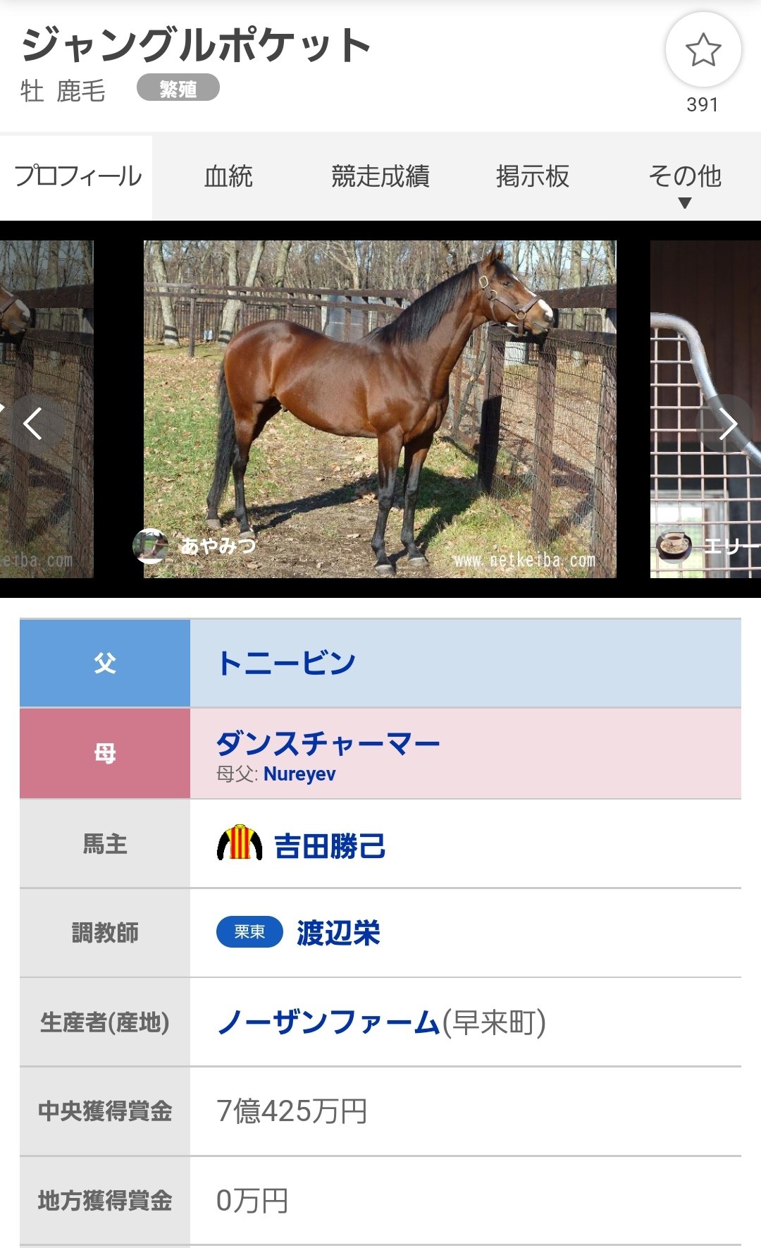 斎藤正章の毎年100％を目指す！2010年まで勝ち抜く戦略を学ぶ 順張り&逆張り 斎藤正章の毎年100％を目指す！2010年まで勝ち抜く戦略を学ぶ 順