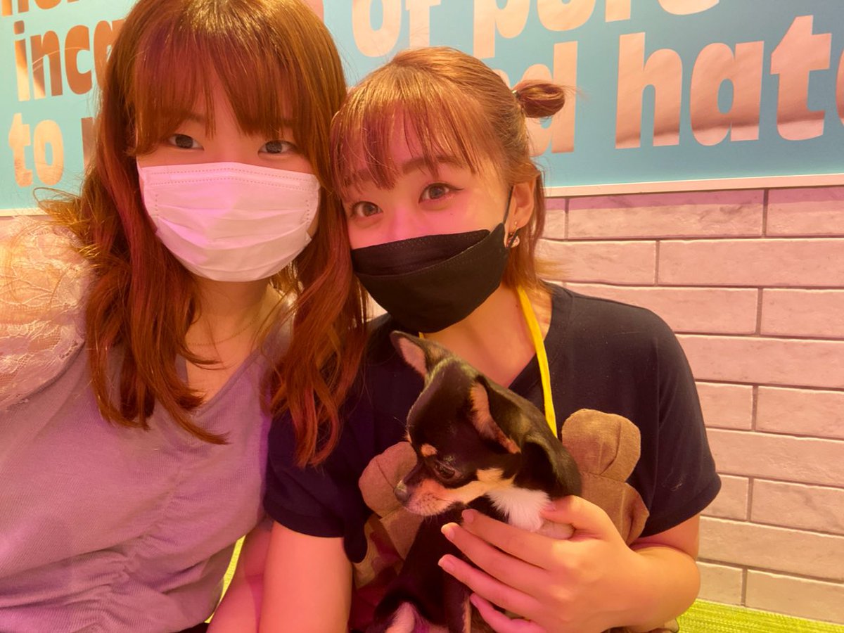 清水 遥香 Haru1015kas1 Twitter 清水 遥香 Haru1015kas1 Twitter