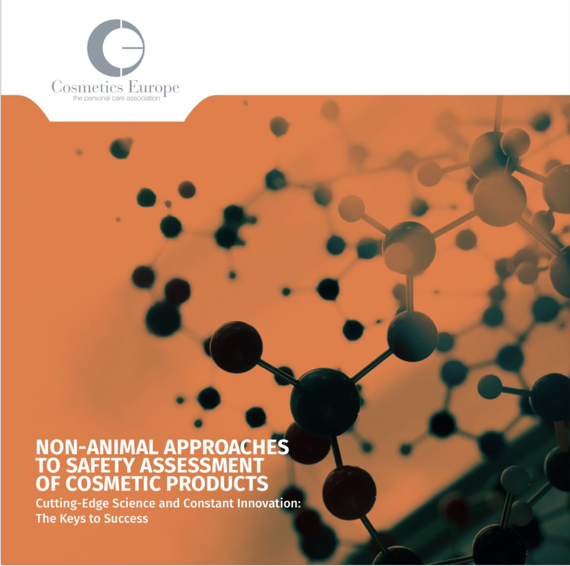 CosSciUK's tweet photo. WC11 has started 🙌🙌🙌@WC11Maastricht @CosmeticsEur …Greetings from #Brussels. Wishing everyone a 👌#congress. Looking forward to the talks. #Science #Research #NonAnimalMethods #Toxicology #HumanHealth #Cosmetics #Beauty #Education #CosmeticScience #Regulatory #Europe #LRSS https://t.co/YJIDSQJXll