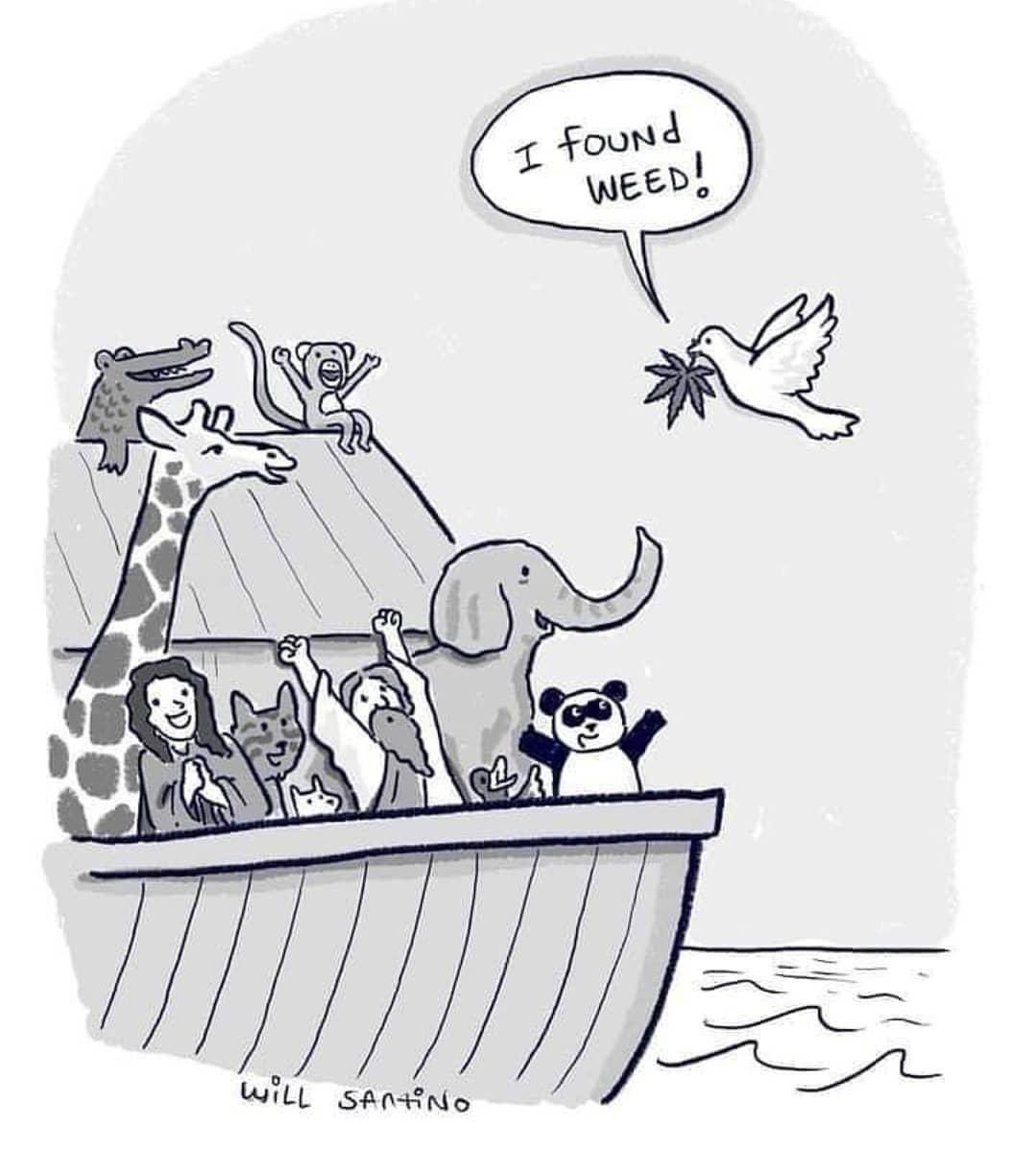 JesusUsedCanna's tweet image. 