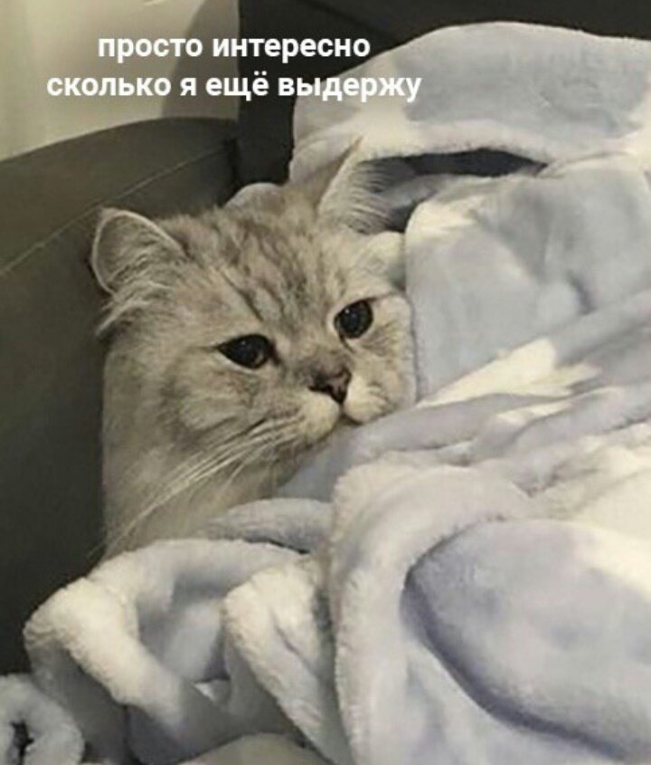 Просто интересно сколько. Интересно сколько я еще выдержу. Просто интересно сколько. Просто интересно. Просто интересно сколько.