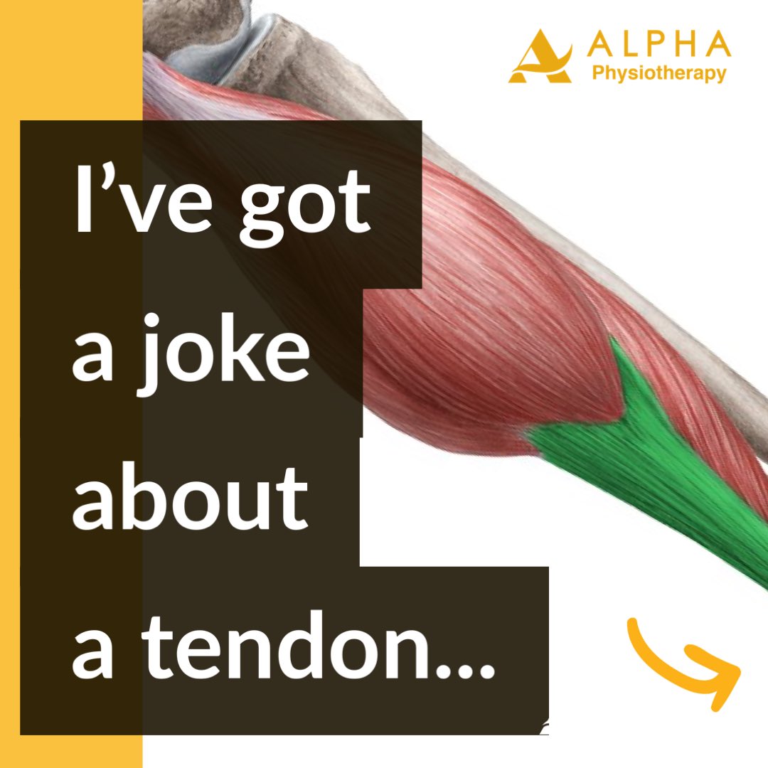 Alpha Physio tweet media