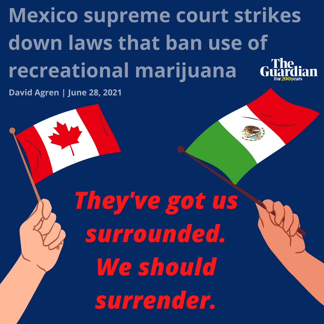 CannabisFreedo1's tweet image. please see: theguardian.com/world/2021/jun… 

@PoliceForReform @weldon_angelos @ReasonFdn @Globalcannacomm @AFPhq 

#EndCannabisProhibition #CannabisBusiness #CannabisPolicy #LegalizeIt #cannabisnews