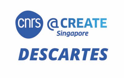<a href="/CNRSatCREATE/">CNRS@CREATE</a> is proud to inform you that the National Research Foundation of #Singapore has selected the DesCartes program within <a href="/CREATE_NRF/">CREATE</a> 

Read the press release here 👉 cnrsatcreate.cnrs.fr/cnrs-teams-up-…