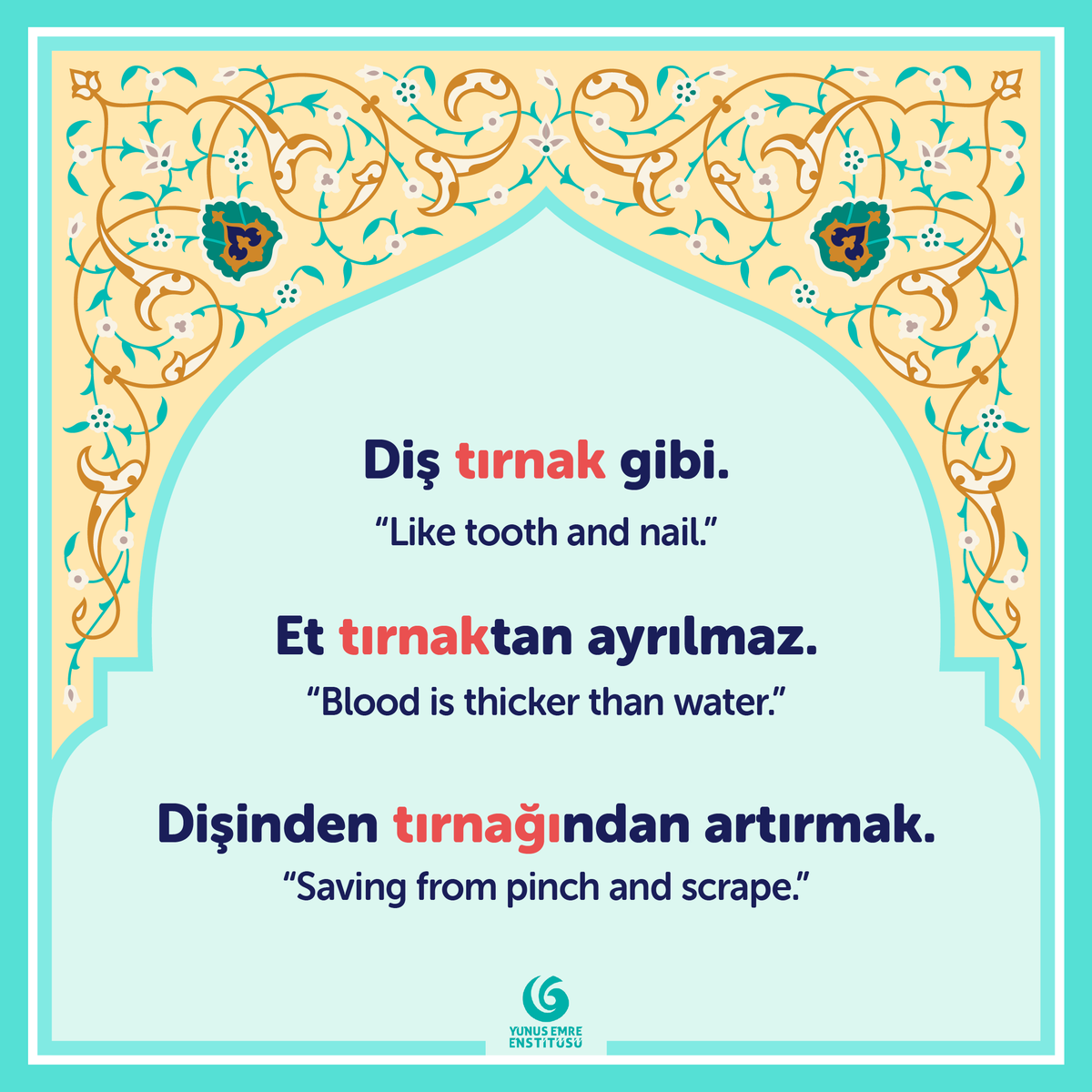 yeeamerika's tweet photo. 🇹🇷 ❝Saç sefadan, tırnak cefadan uzar❞

🇺🇸 ❝Hair grows from enjoyment; nails grow from pain❞

#MerhabaMonday #TurkishIdioms 
#NewLanguage #TurkishCulture https://t.co/VuLgKSTvM6