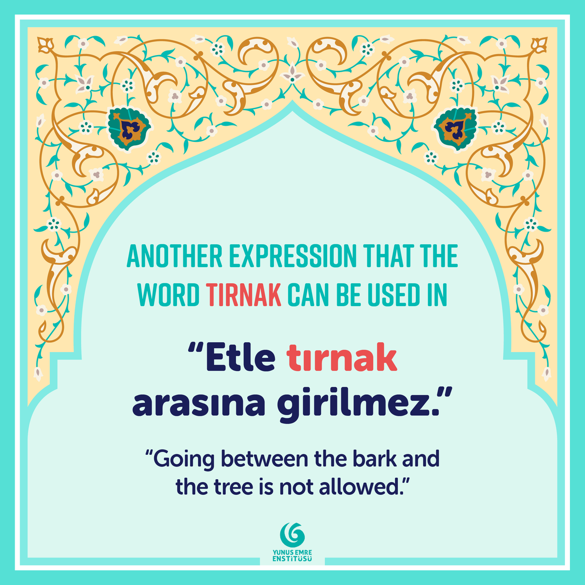 yeeamerika's tweet photo. 🇹🇷 ❝Saç sefadan, tırnak cefadan uzar❞

🇺🇸 ❝Hair grows from enjoyment; nails grow from pain❞

#MerhabaMonday #TurkishIdioms 
#NewLanguage #TurkishCulture https://t.co/VuLgKSTvM6