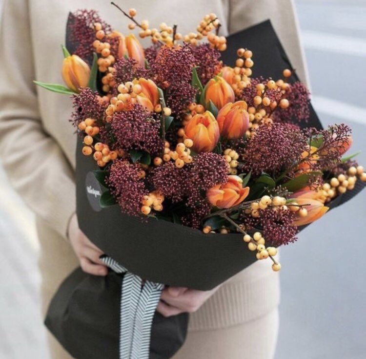 Aesthetics (@aestheticspost_) on Twitter photo 