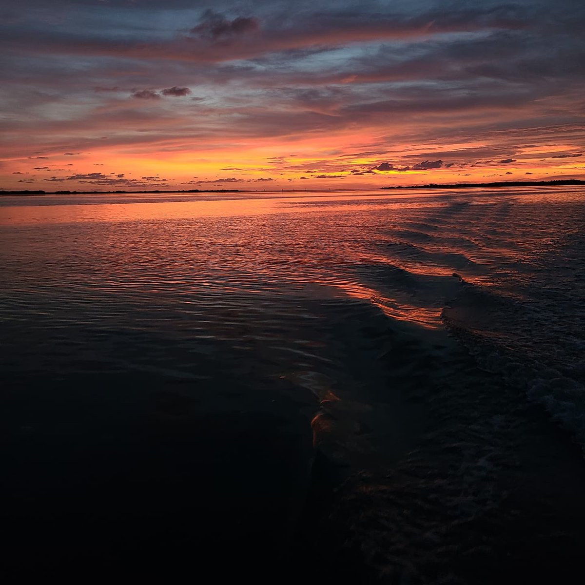 DanDickson24's tweet photo. Decent sunset 

#nofilter #dunedin #florida https://t.co/MndltRs0G5