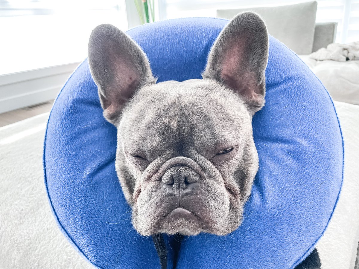 Christopher_Odd's tweet image. Happy Monday!