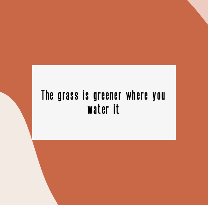 ANDYForever73's tweet photo. The grass is greener where you water it https://t.co/mKnTPSfVUf