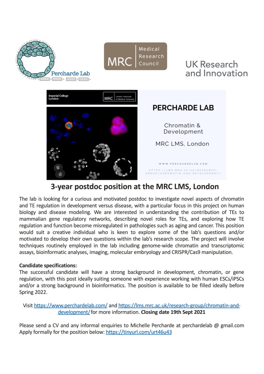 MPercharde's tweet photo. Silly/hiring season is here! New postdoc position in our lab @MRC_LMS @imperialcollege in London. Come study chromatin and transposon regulation in development and disease. V.interested in people with experience with hESCs/iPSCs or bioinformatics. *Pls RT* https://t.co/y15AVjI9Nk https://t.co/byVqpbbgpM