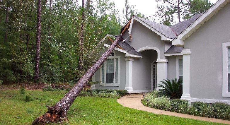 SegelmanRoofing's tweet photo. Roofing Storm Center in full operation ! - https://t.co/mIXs5HHlko https://t.co/e7vffmV8Gg