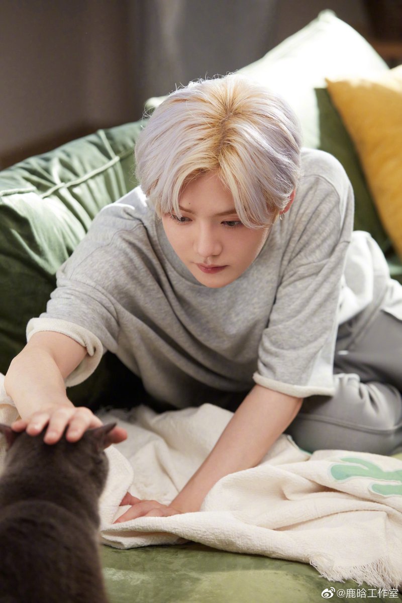 LuHan_Bolivia's tweet photo. [WEIBO] 210823  Actualización de #Vetreska junto a #LuHan 
El jefe más guapo del mundo #Luhan se ha embarcado en un viaje de fantasía, presentando a un conjunto de tomas laterales del "pequeño ciervo"  que viene al mundo de los gatos. (2)

Cr. 未卡VETRESKA
[LuHan Bolivia🇧🇴] https://t.co/Zvya0EldFD