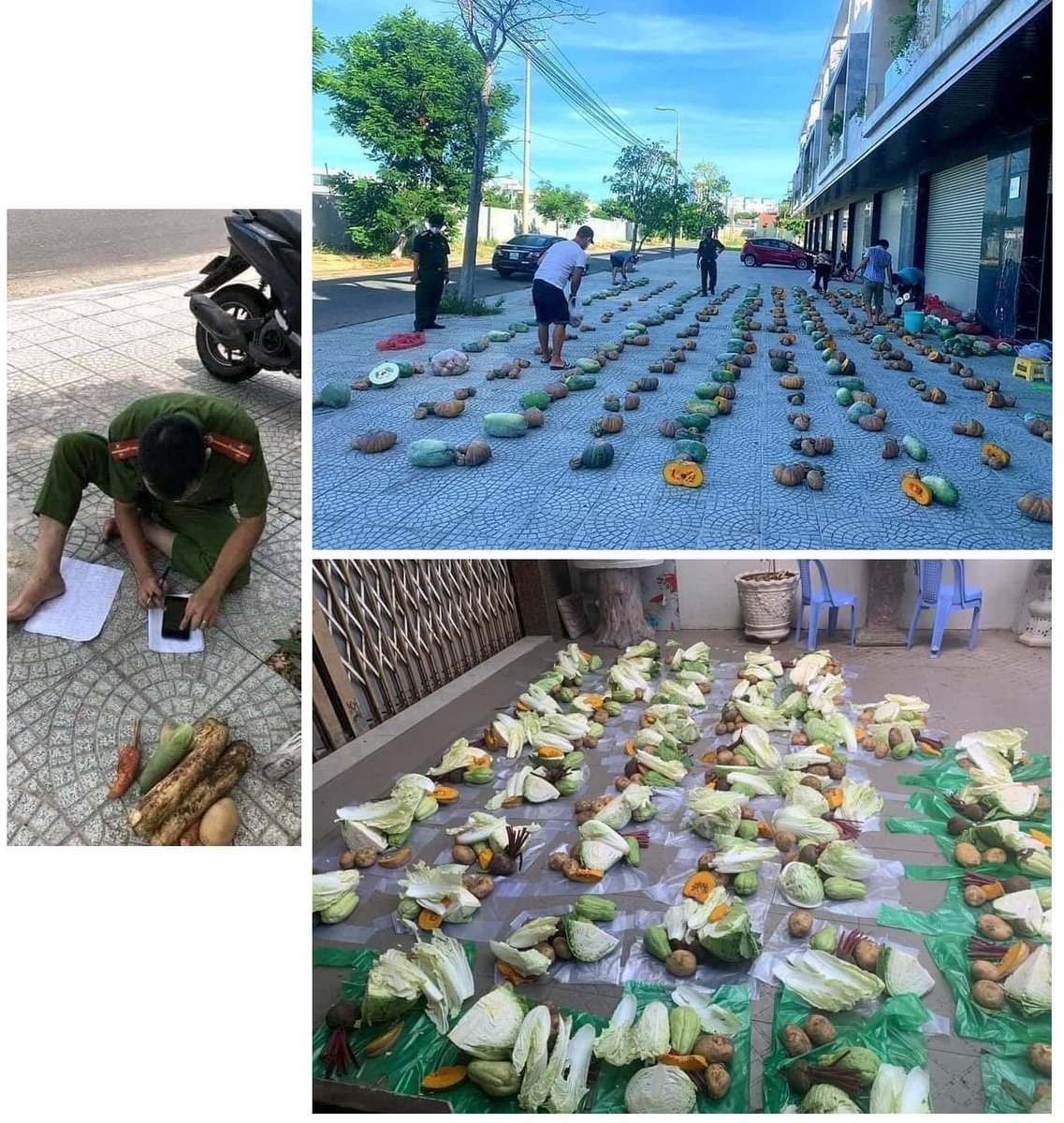 Nga Pham tweet media