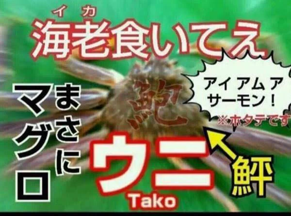 @lightgreen_ko 何とはなくこの画像を思い出しました…w 