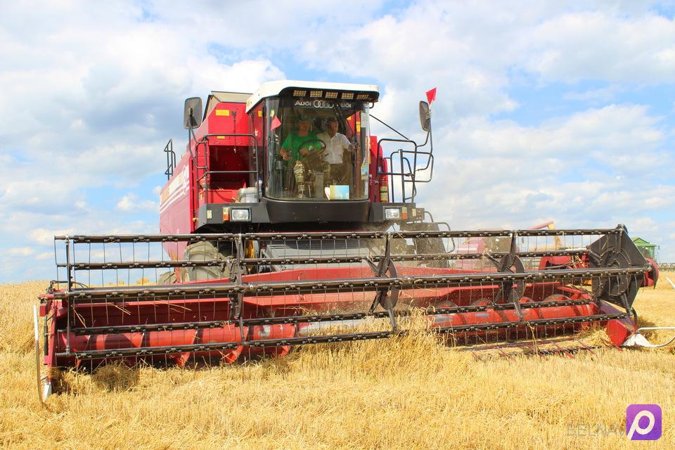 поле, трактор, аграриев. белорусское сельское хозяйство. сельхоз беларуси. сельское хозяйство брестской области. сельское хозяйство белоруси.