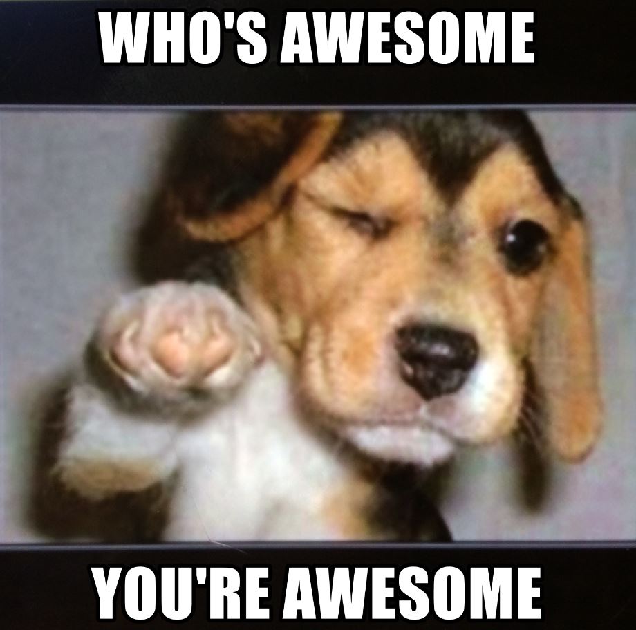 whos awesome meme