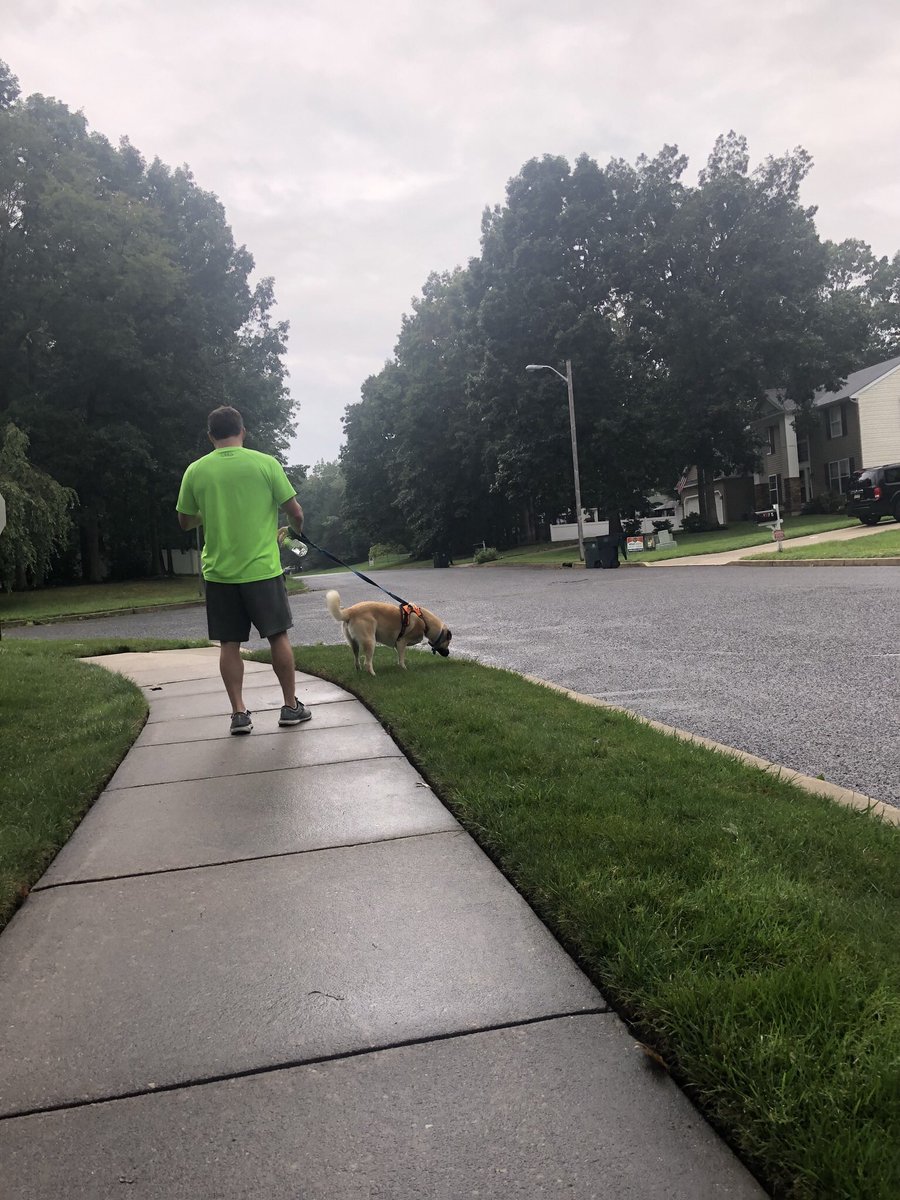 Chris Sowers tweet media