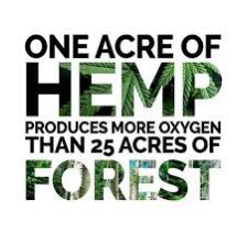 Who knew that the ultimate weapon for fighting climate change is hemp? #ClimateChange
