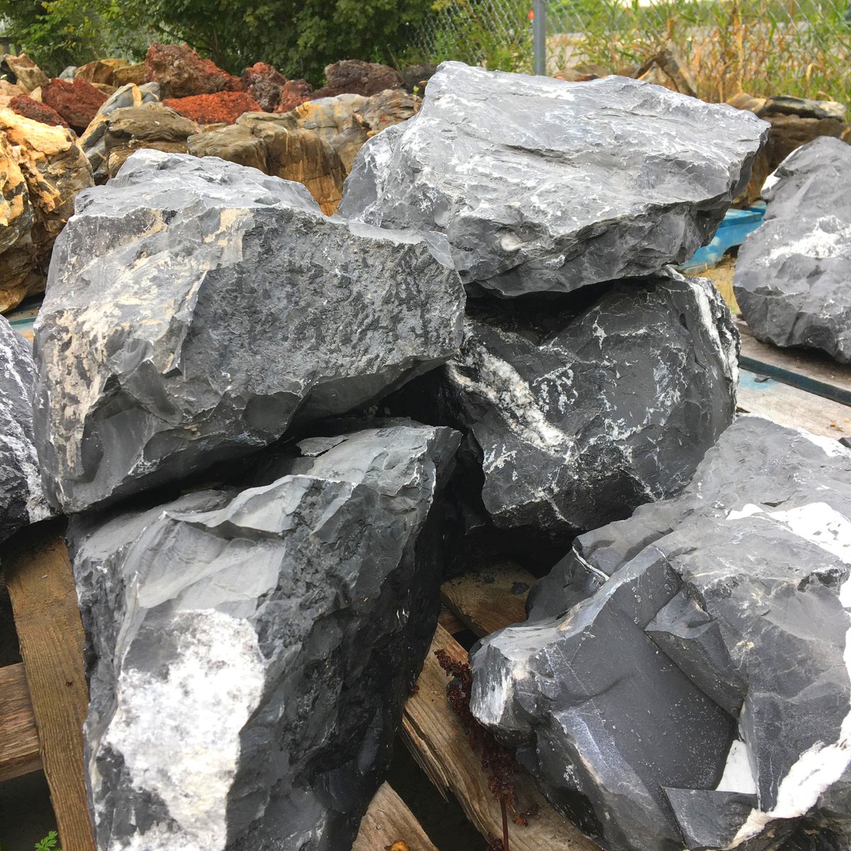 GrandRiverStone's tweet photo. Oooo, that high contrast black and white on these Zebra Stones is just *chef's kiss* 👌🦓

#decorativeboulder #rockery #stones #landscape #outdoorspace #zebrastone #ilikethatboulder #thatisaniceboulder https://t.co/fdLLfL3QzW