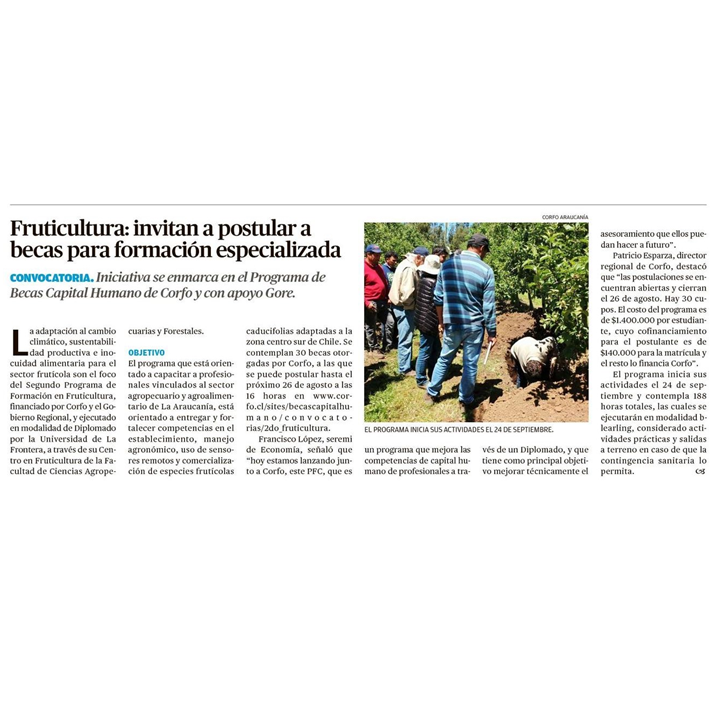 Fruticultura: Invitan a postular a becas para formación especializada ✅australtemuco.cl/impresa/2021/0…
Hasta el 26/08 estarán abiertas las postulaciones al 2° Programa de Formación en Fruticultura.
Más información y postulaciones en becascapitalhumano.cl