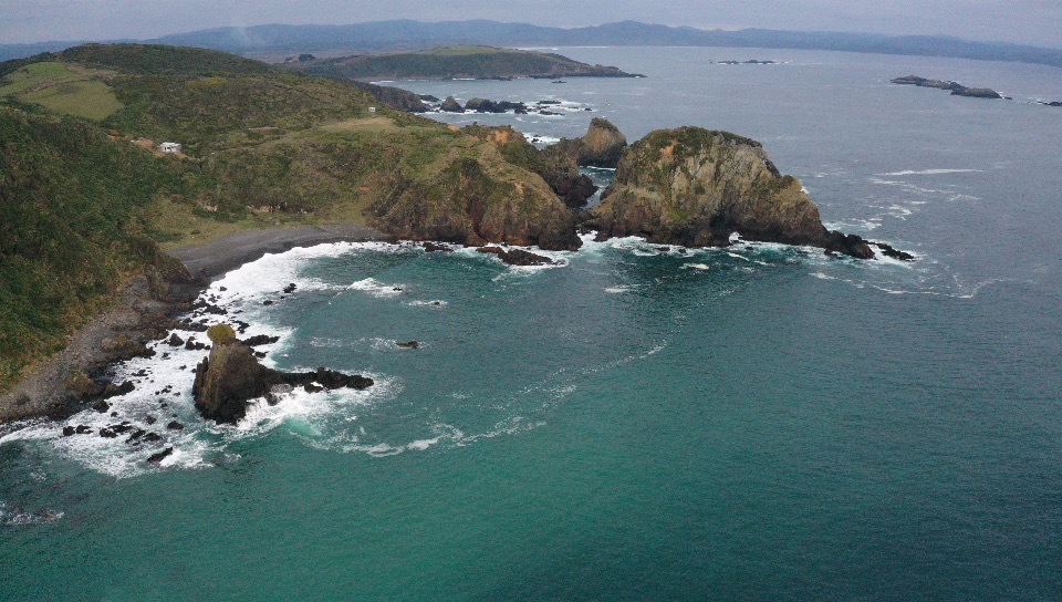 BITECMA's tweet photo. Buen inicio de semana para tod@s!
Acá les compartimos lo que fue la siembra de erizo rojo en el #AMERB #LosChonosdeGuabún, #Ancud, #Chiloé. El trabajo fue realizado en colaboración con los pescadores de la caleta del mismo nombre y fue todo un éxito 🌊💪🏼📸
Financia: @indespacl https://t.co/mu0ocn5j1k