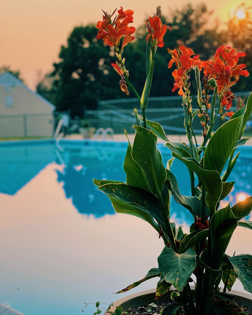 The Middleburg Community Center's #pool will be open weekends only 11 a.m.-6 p.m. for the remainder of the #summer season (Aug. 28-29 &amp; Sept. 4-6). 📷: MCC #middleburgva #loudoun #loveloudoun #familyfun