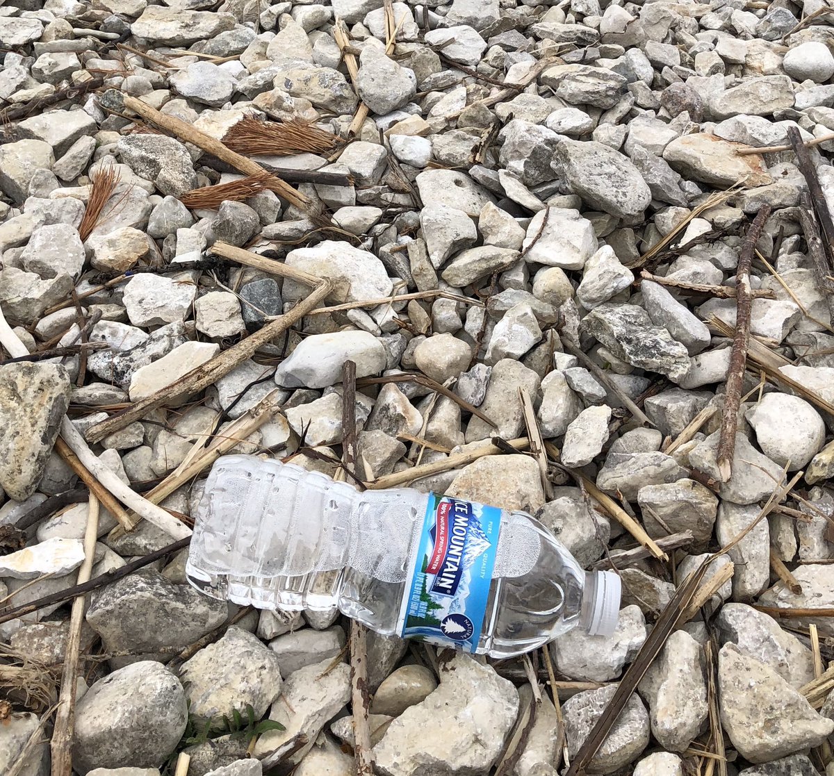 About 1 million single use plastic beverage bottles are purchased EVERY MINUTE on earth. What the heck are you doing, humans? #plasticfree #refillnotlandfill