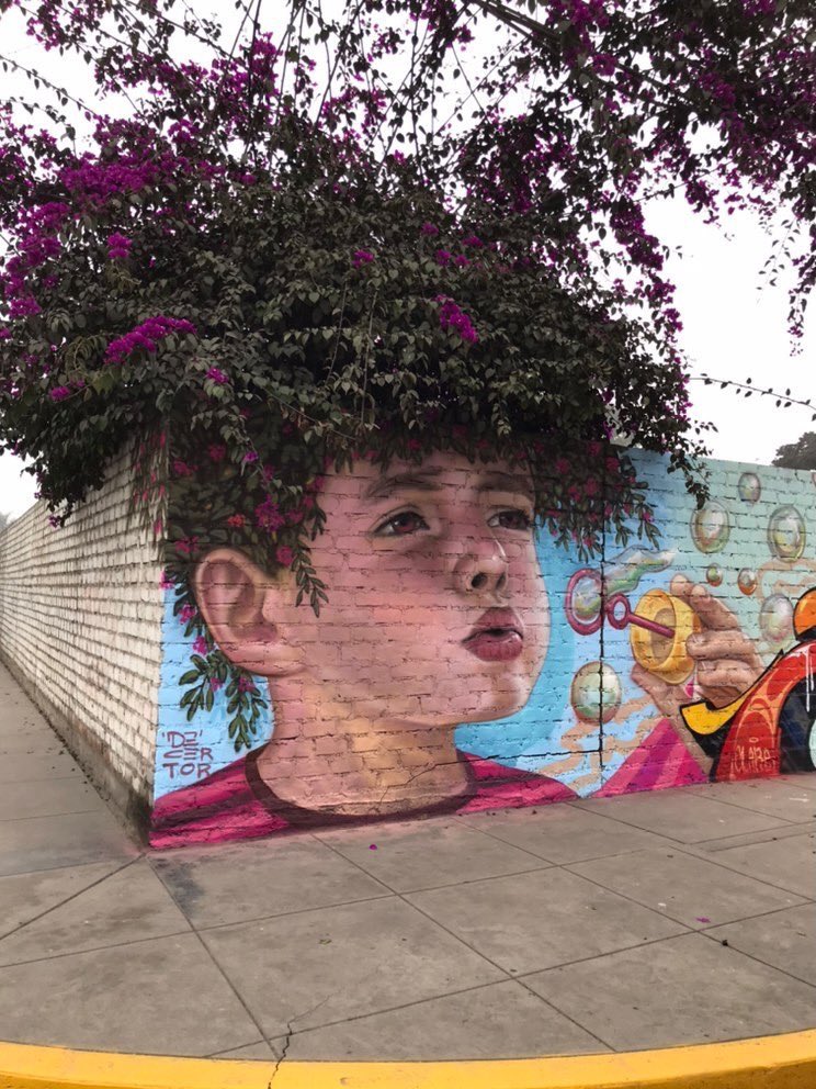 New wall in Lima 
#nature #streetart