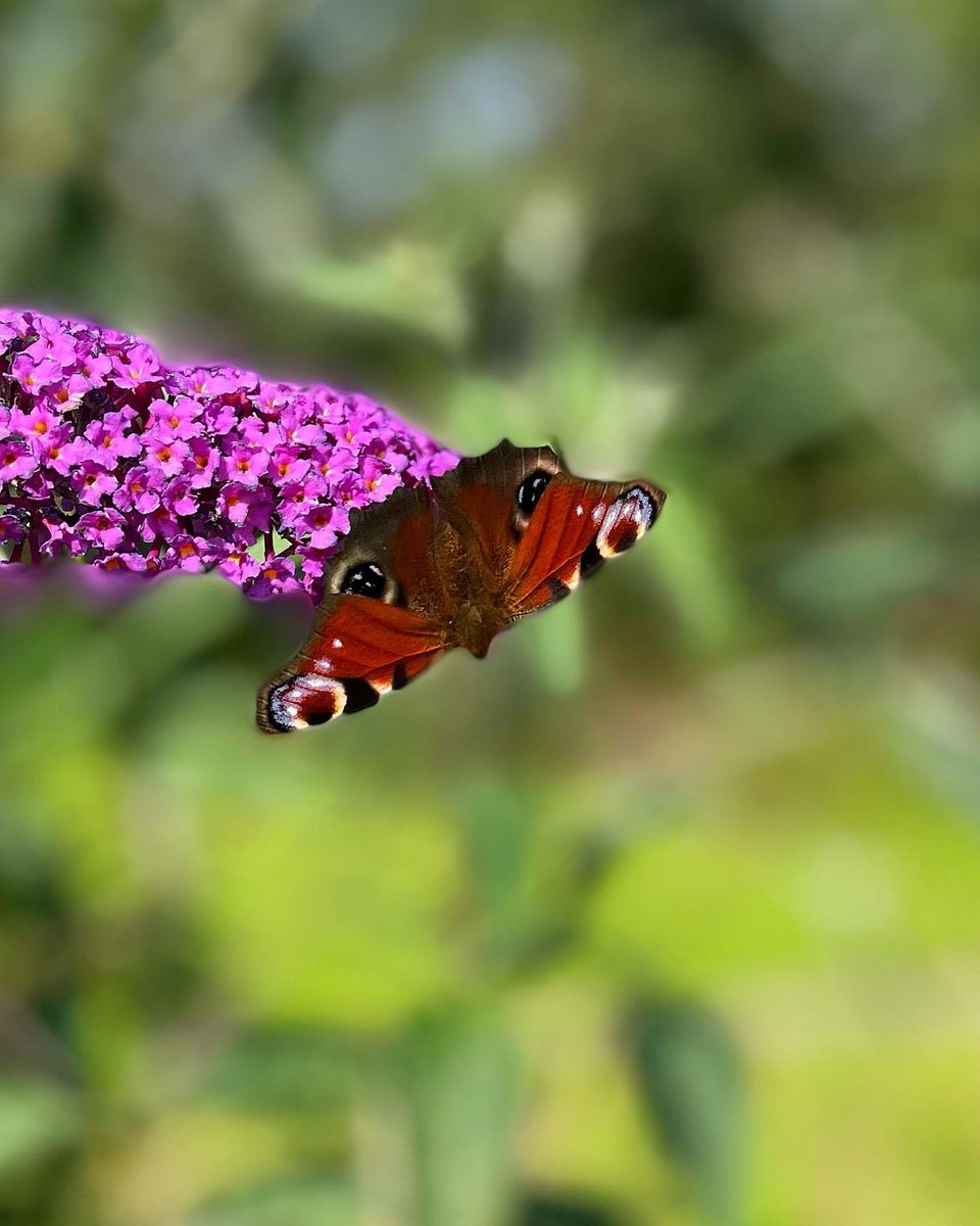 Meanwhile in Cornwall…