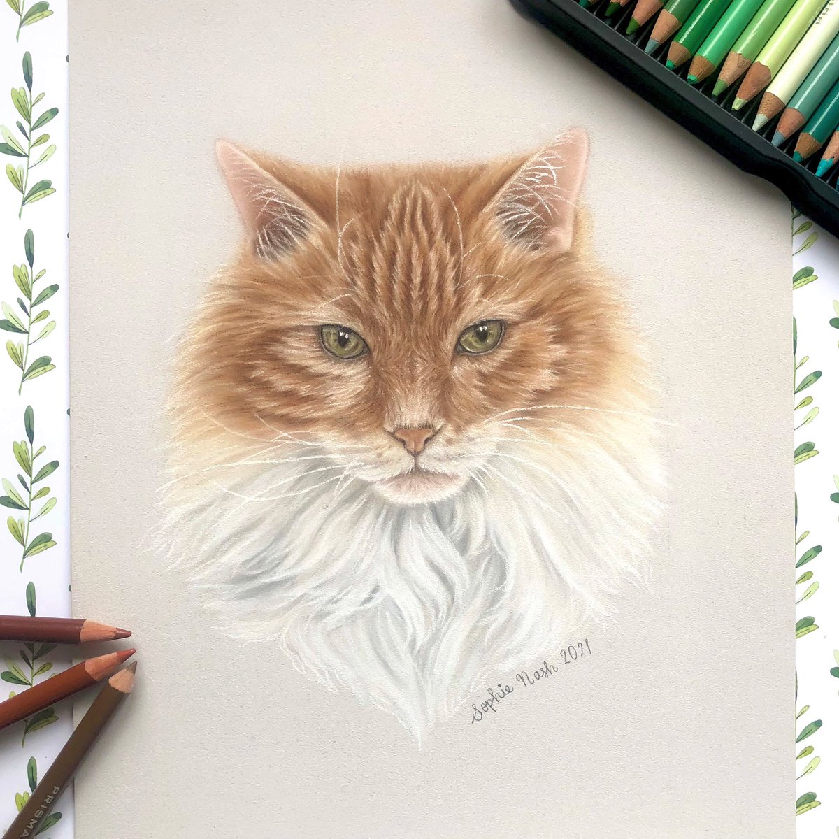 Recently, I’ve been learning how to use chalk pastels and this is the piece I just created of my cat Dexter! 🐱

#drawing #art #chalkpastels #cat #catart #gingercat #petportrait #animalart