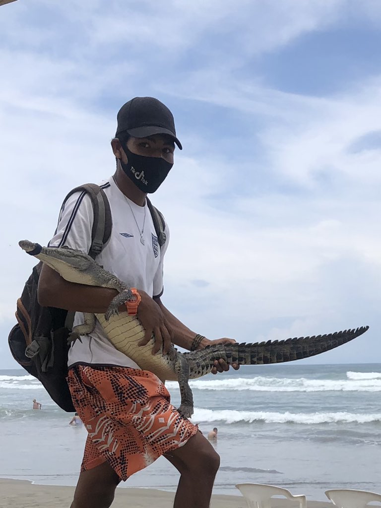 Dogin Hood AC tweet media